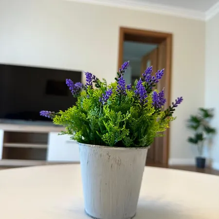 Appartamento Fiale *