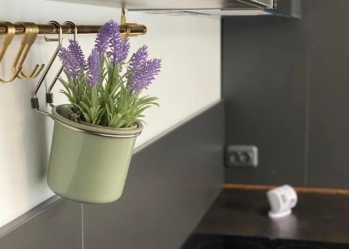 Fiale Апартаменты Брашов